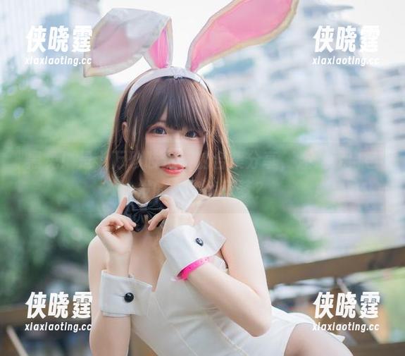 黑兔！是十万珍吱伏特的合集分享，还是我自己发的迷幻兔子梦？