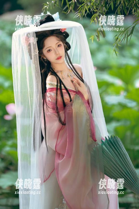 雯妹不讲道理 雯妹不讲道理的1号本白猫:藏着无圣光的魅力,合集绝了!